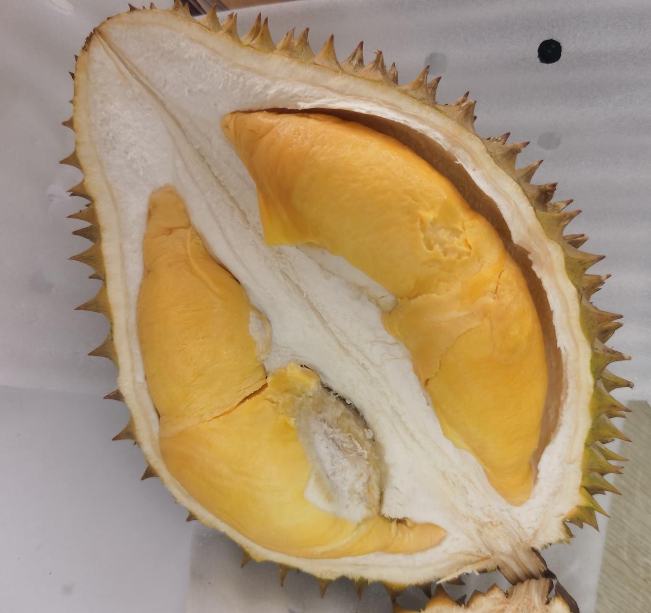 如今，我家穷吗？

当然不是。可在我家的生活里，却出现过这样的情状：

某日，一