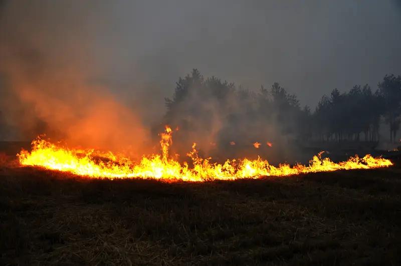 秸秆焚烧屡禁不止，很大程度是因为没有有效的回收办法。农民们种完地收完粮食，秸秆留