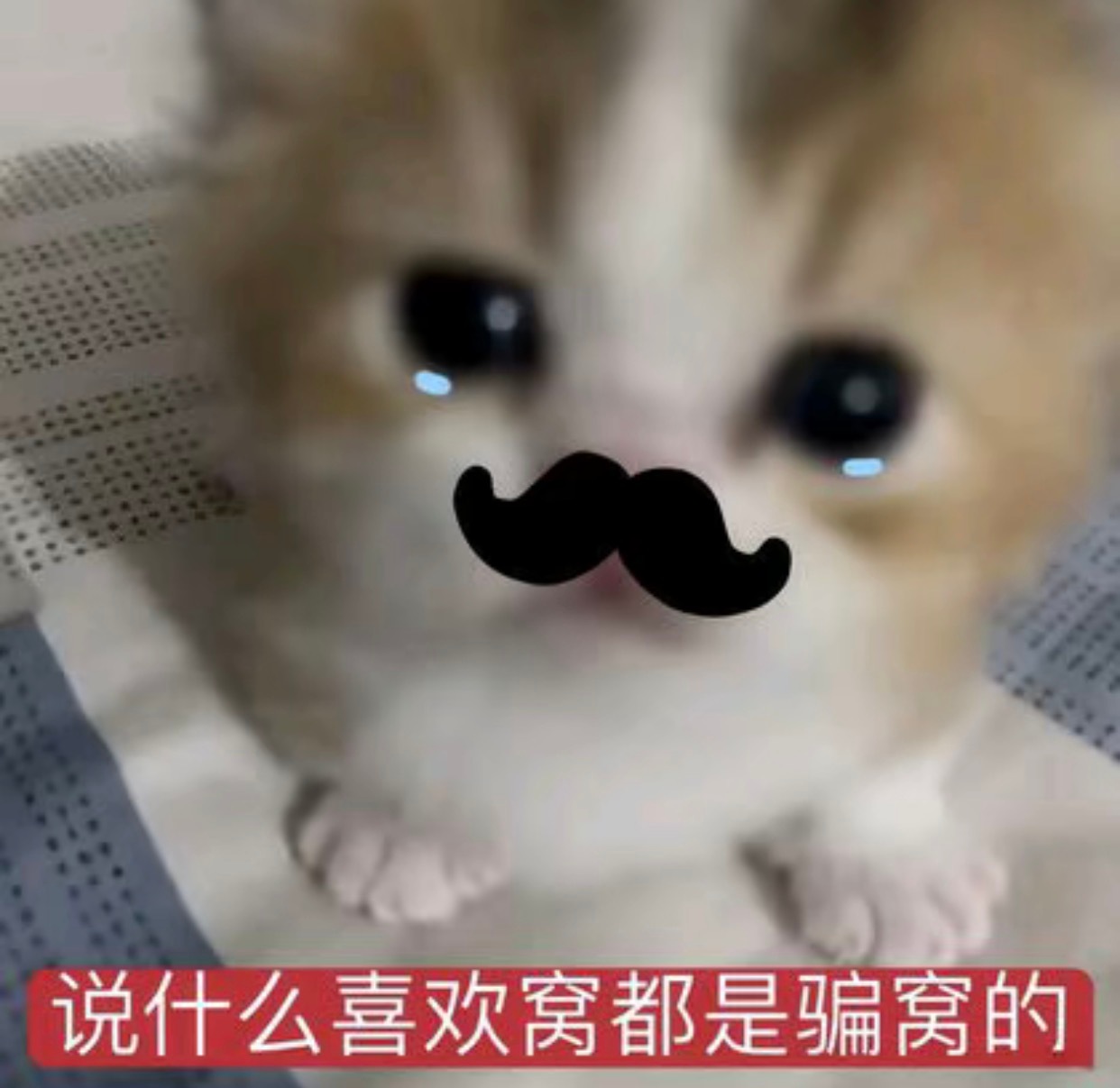 啥意思我就发了一条就有人给我双了 