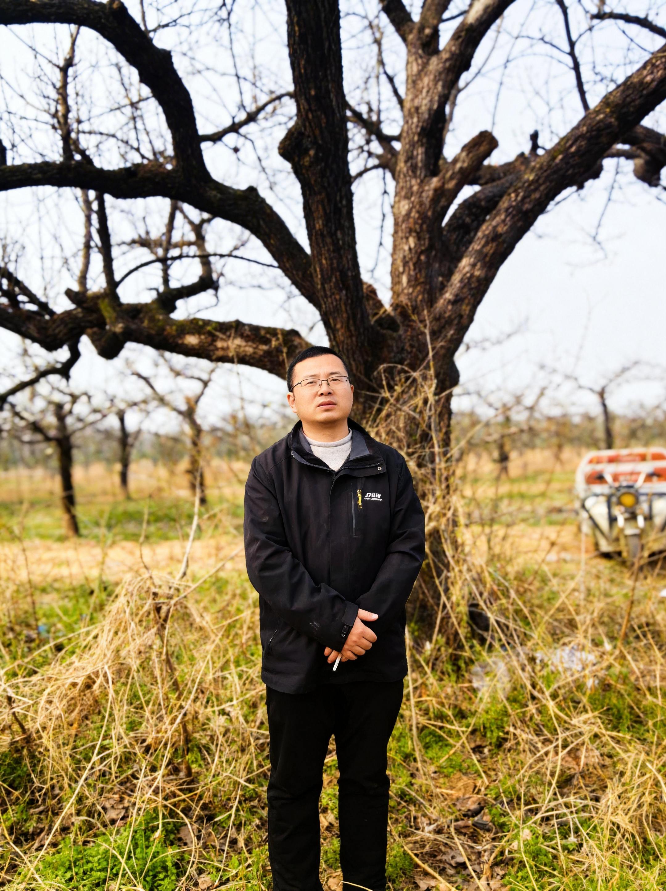 砀山百年老梨树  🏃感受大自然的气息🍀