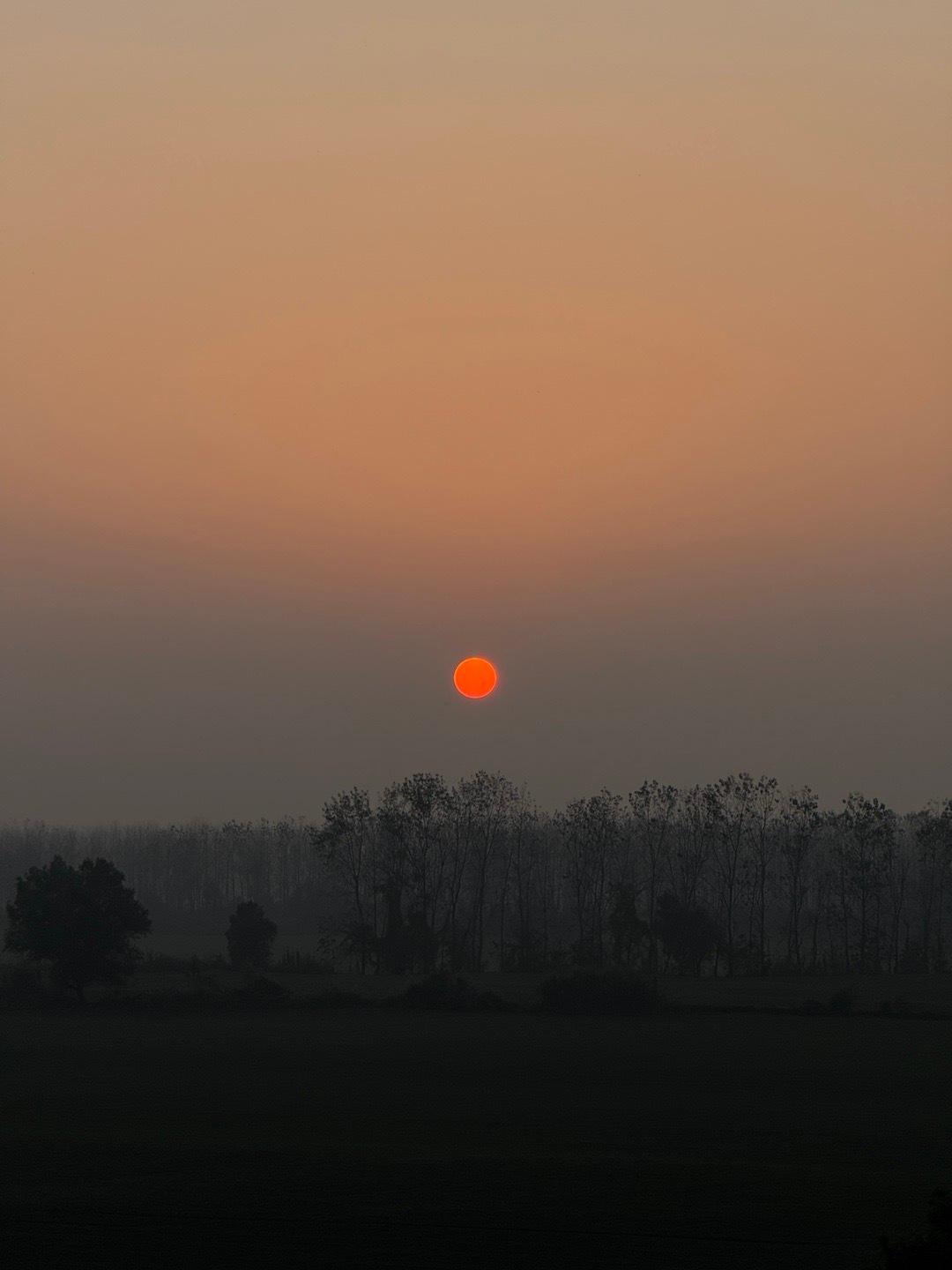 人生的辗转里，有些美好的出现是为了指引你，而不是留下你 