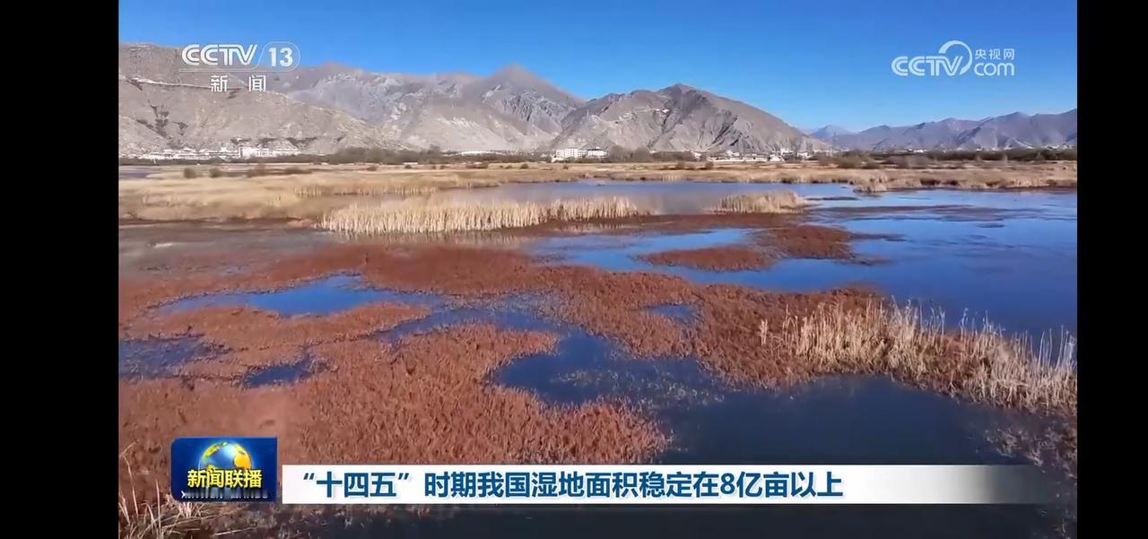 “十四五”时期，我国湿地保护再上新台阶，守护绿水青山，共筑生态家园！🌱💙