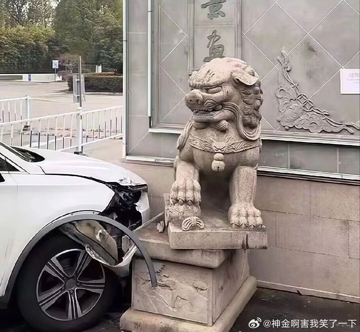 6235狮子： ………  我招你惹你了吗 ？？ 