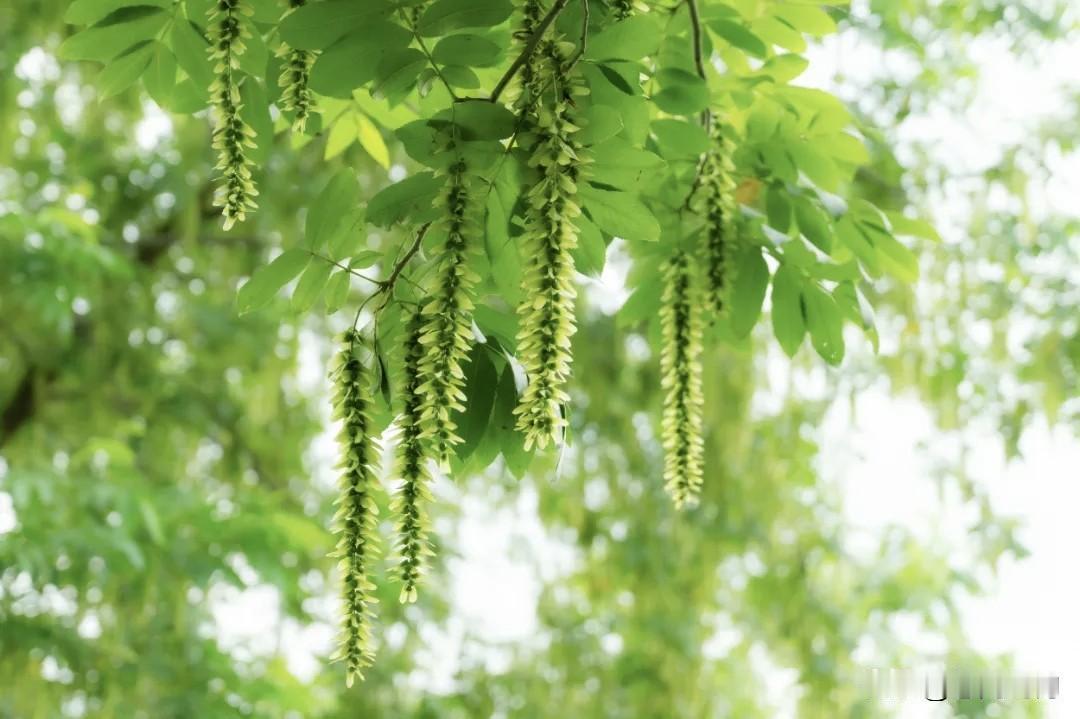 夏日悠闲自得