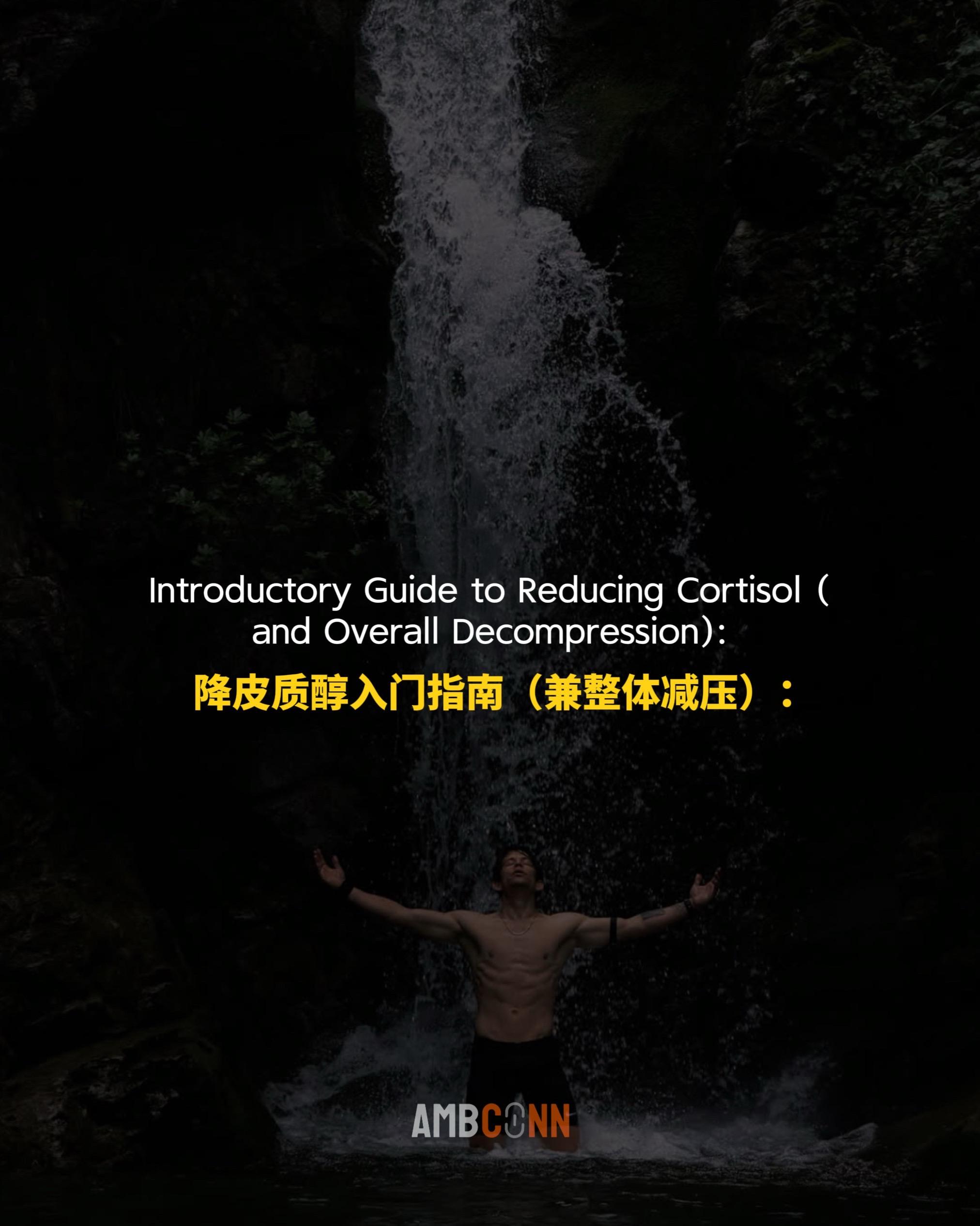 降皮质醇入门指南（兼整体减压）