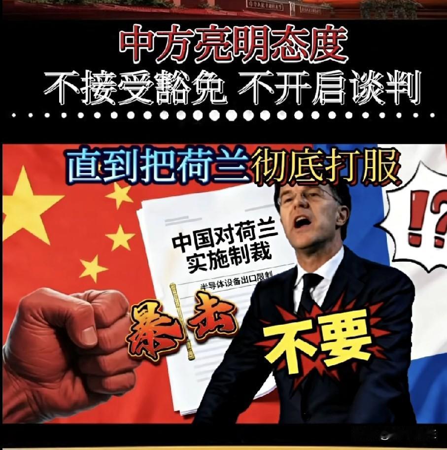 破防了！
打疼了。知道痛了？

我国企业在荷兰遭遇行政与司法联合“突袭”，被剥夺