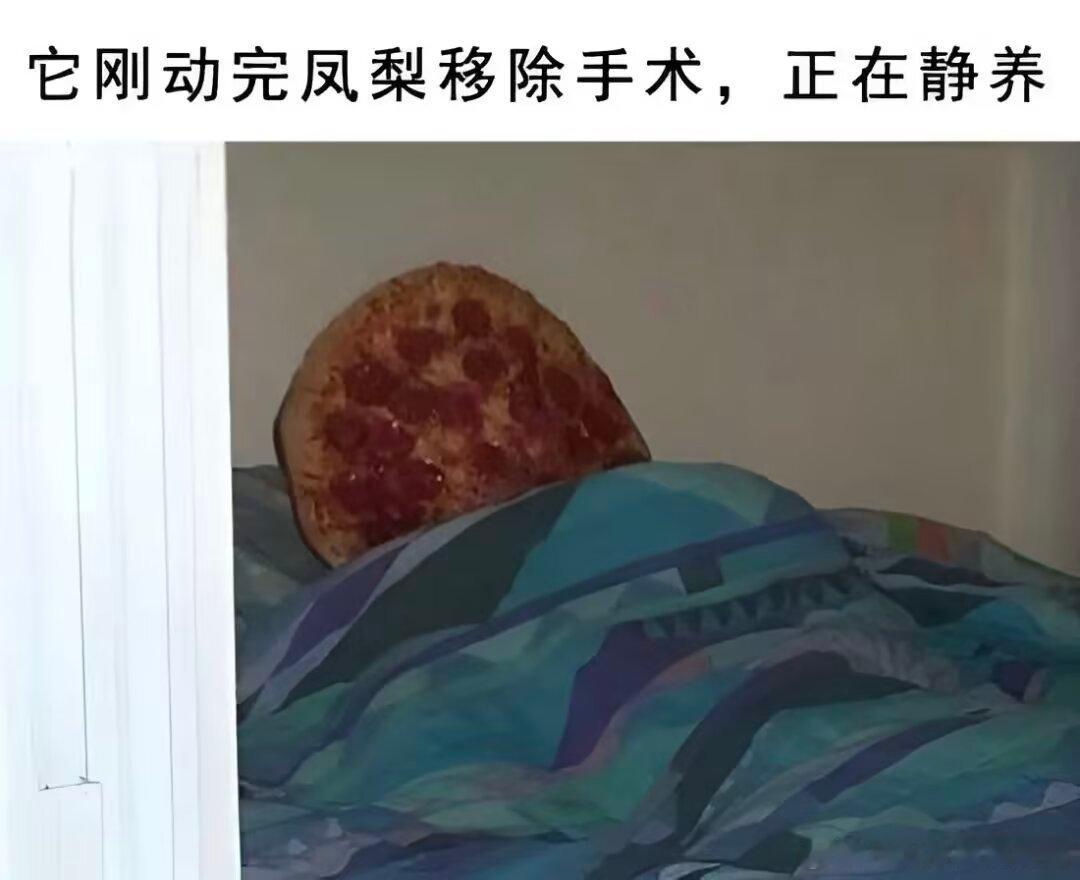 3392被意大利黑手党处置后的披萨 