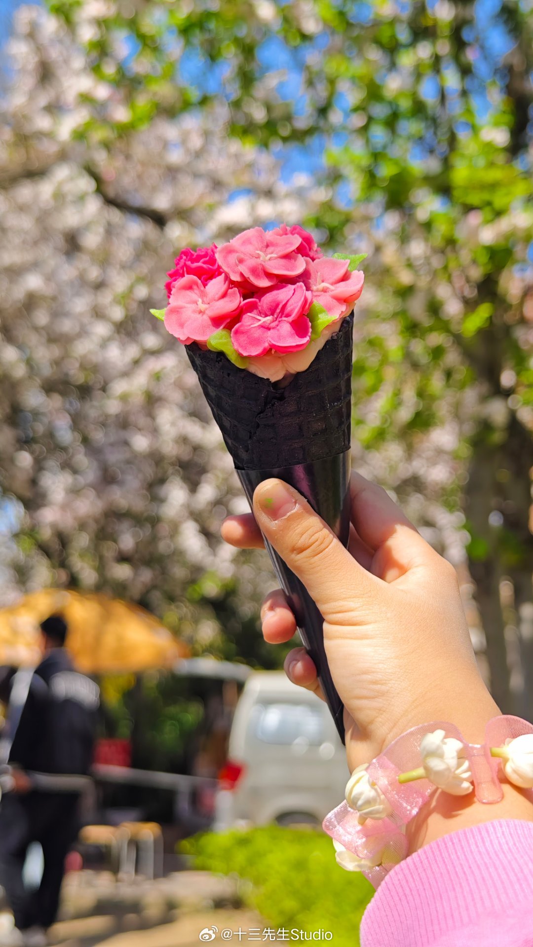 弄了几朵花，就要38今天天津的海棠花节有一亿人..... 天津·五大道文化旅游区