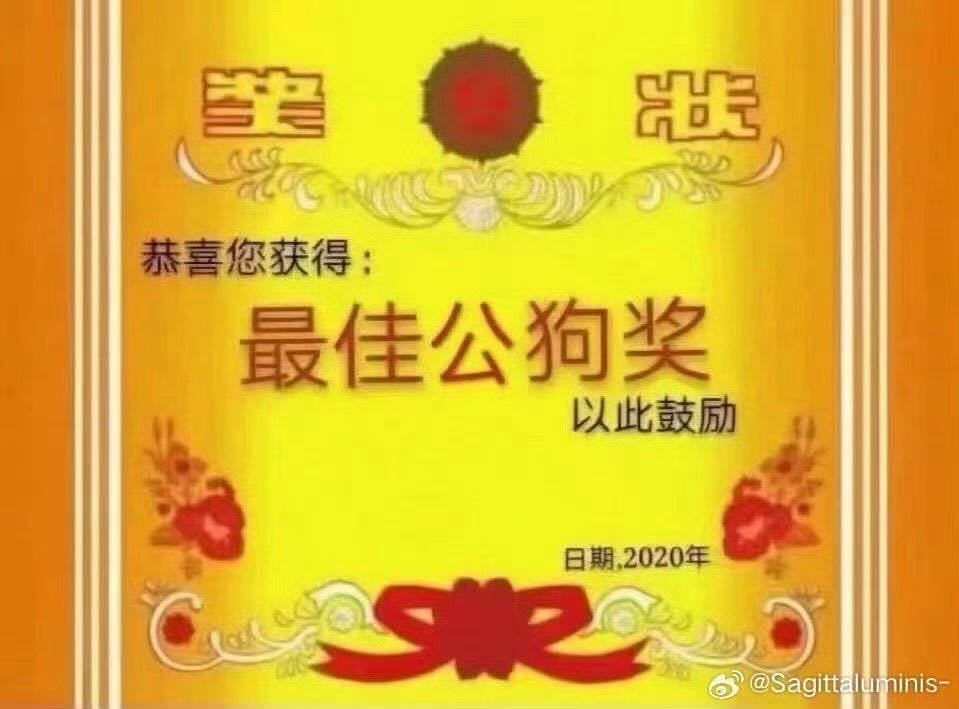 5146【求】想要无水印的这张图和有没有更多类似的梗图[可怜]春日放个疯 ​​​
