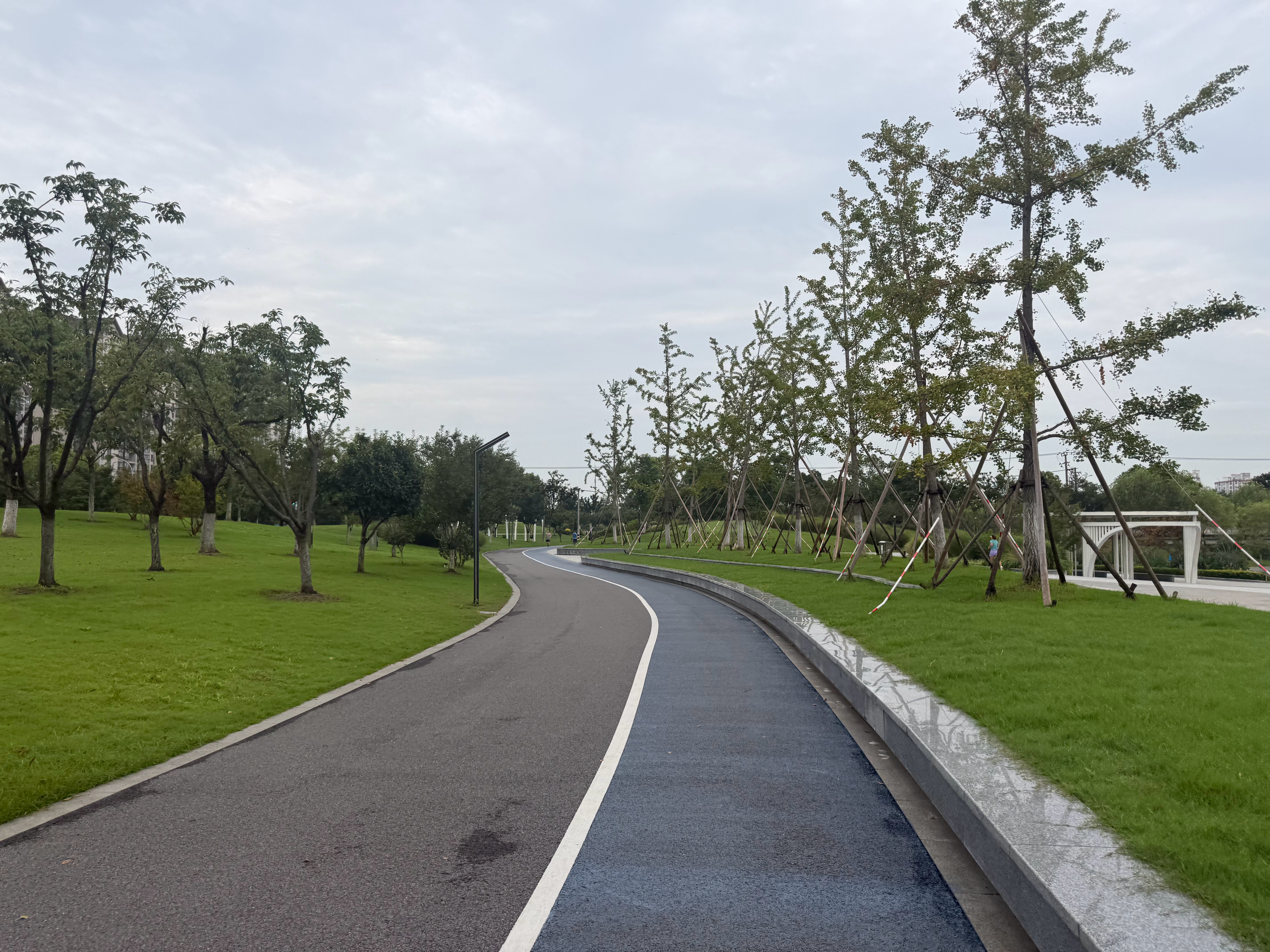 跑步  跑步日记：2026年7月20日星期一，每天跑步一公里，连续跑步打卡-第2