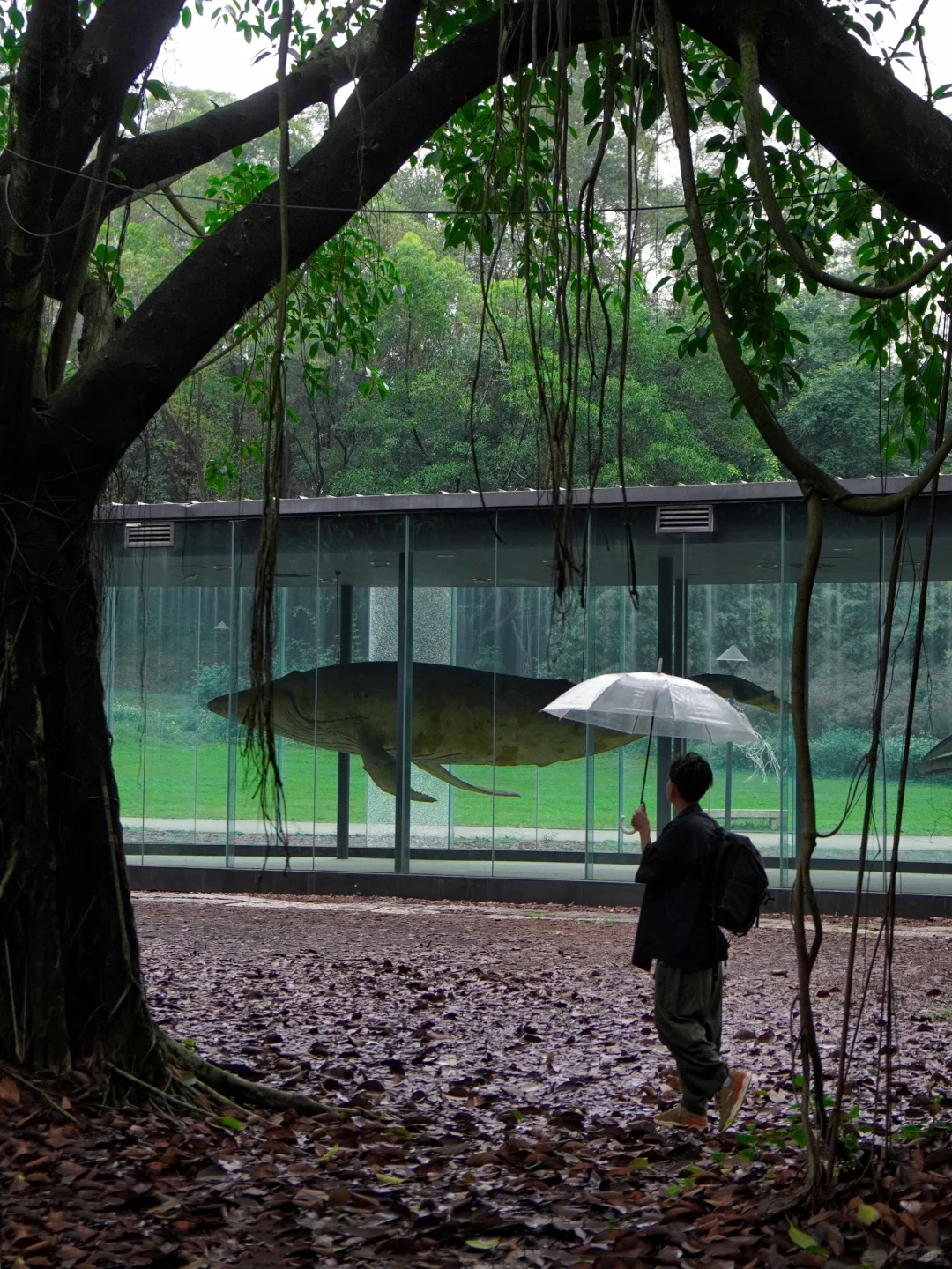 东莞阴雨天去这个公园！像闯入科幻电影里