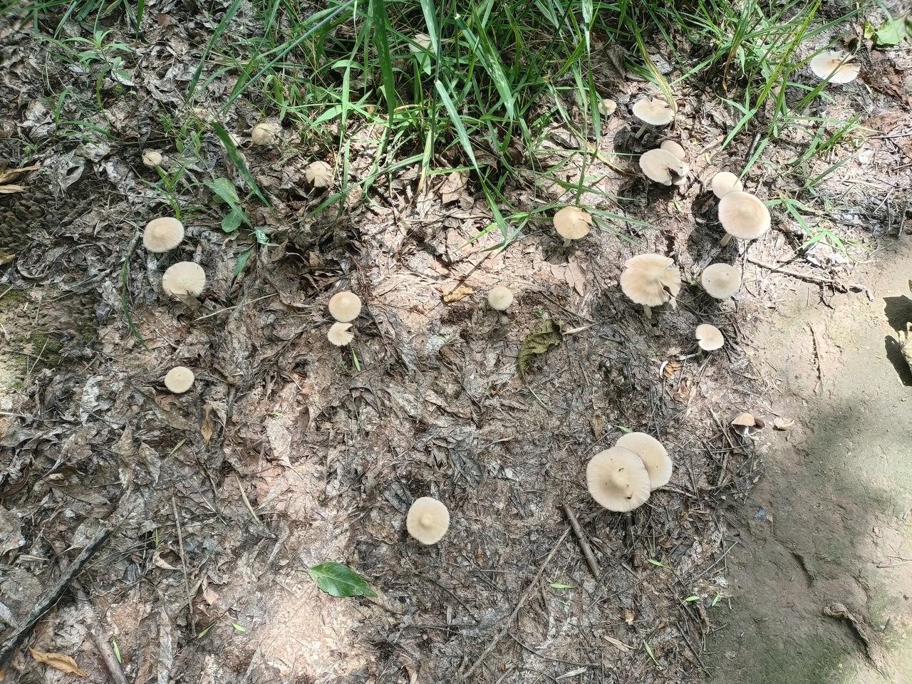 练形意拳不要心急，
想着练个三五天，一个月就出成绩，
那是妄想，
保持平稳心态，