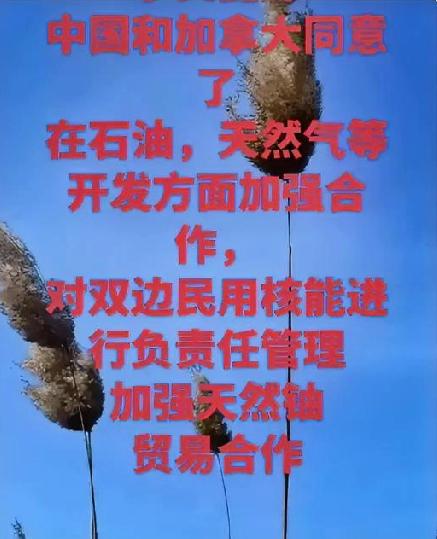 美国制裁委内瑞拉，反倒促成中加能源“双向奔赴”
 
美国持续对委内瑞拉实施能源制