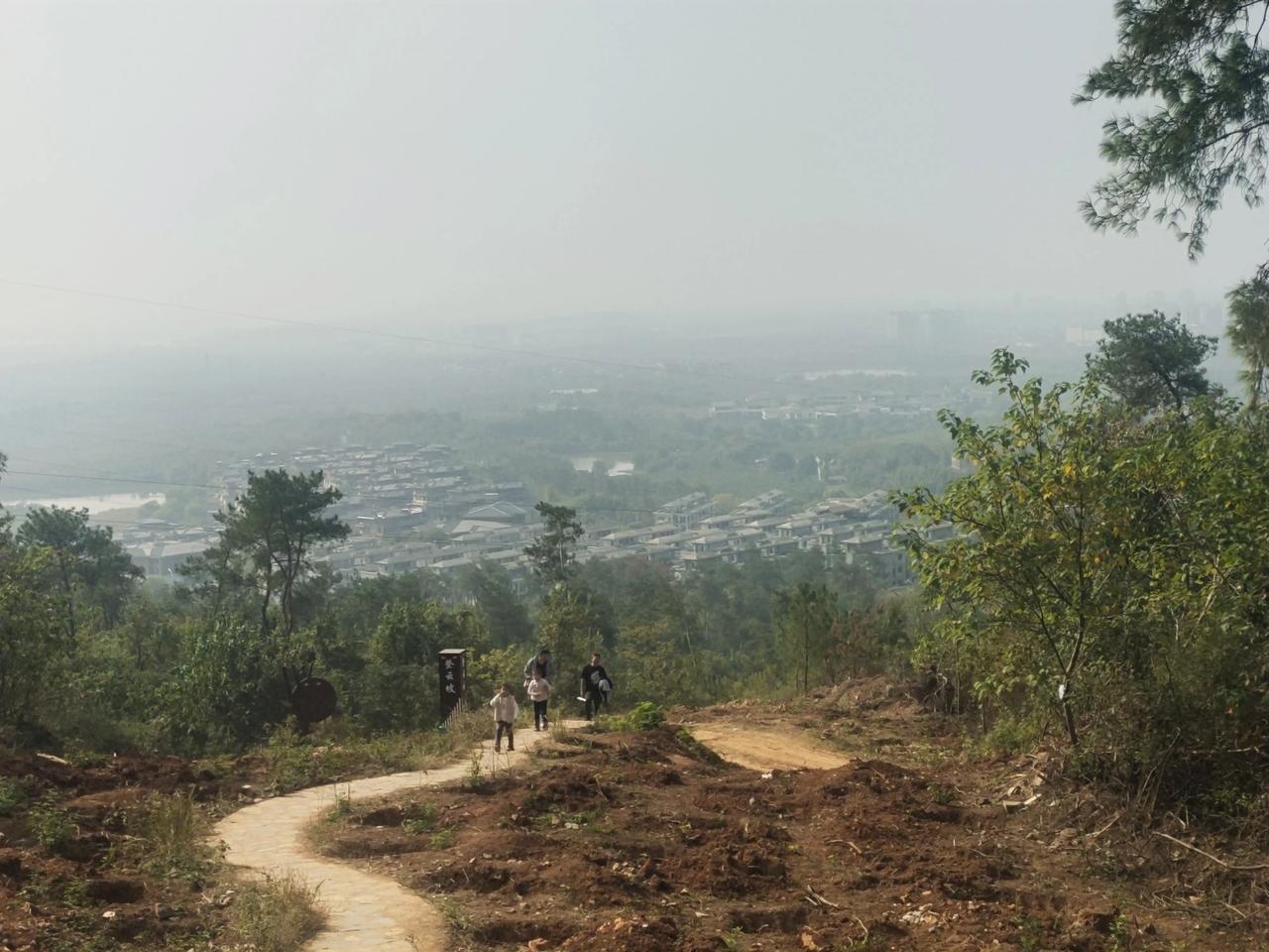 《教师评职称》
杏坛数载苦耕耘，职称之路雾霭纷。
但盼公平如日照，初心不改育贤君