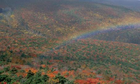 AI时代选专业，湖北考生这三个坑一定要绕开
现在离高考还有不到两个月，孩子们在埋