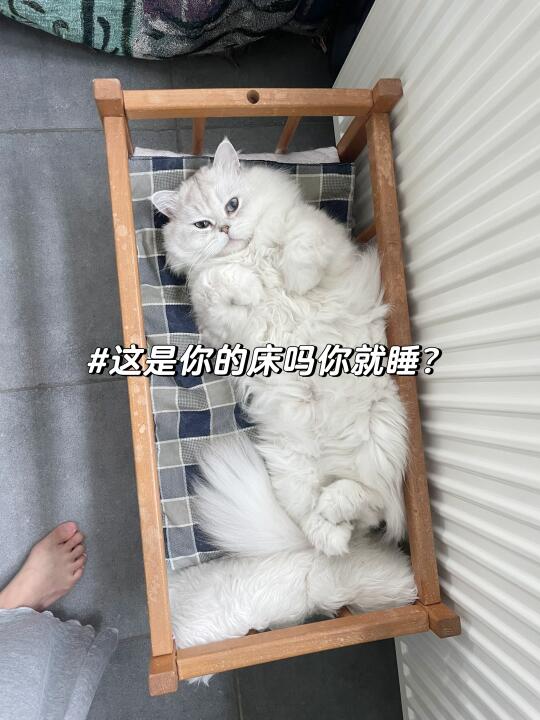 这是你的床吗你就睡？