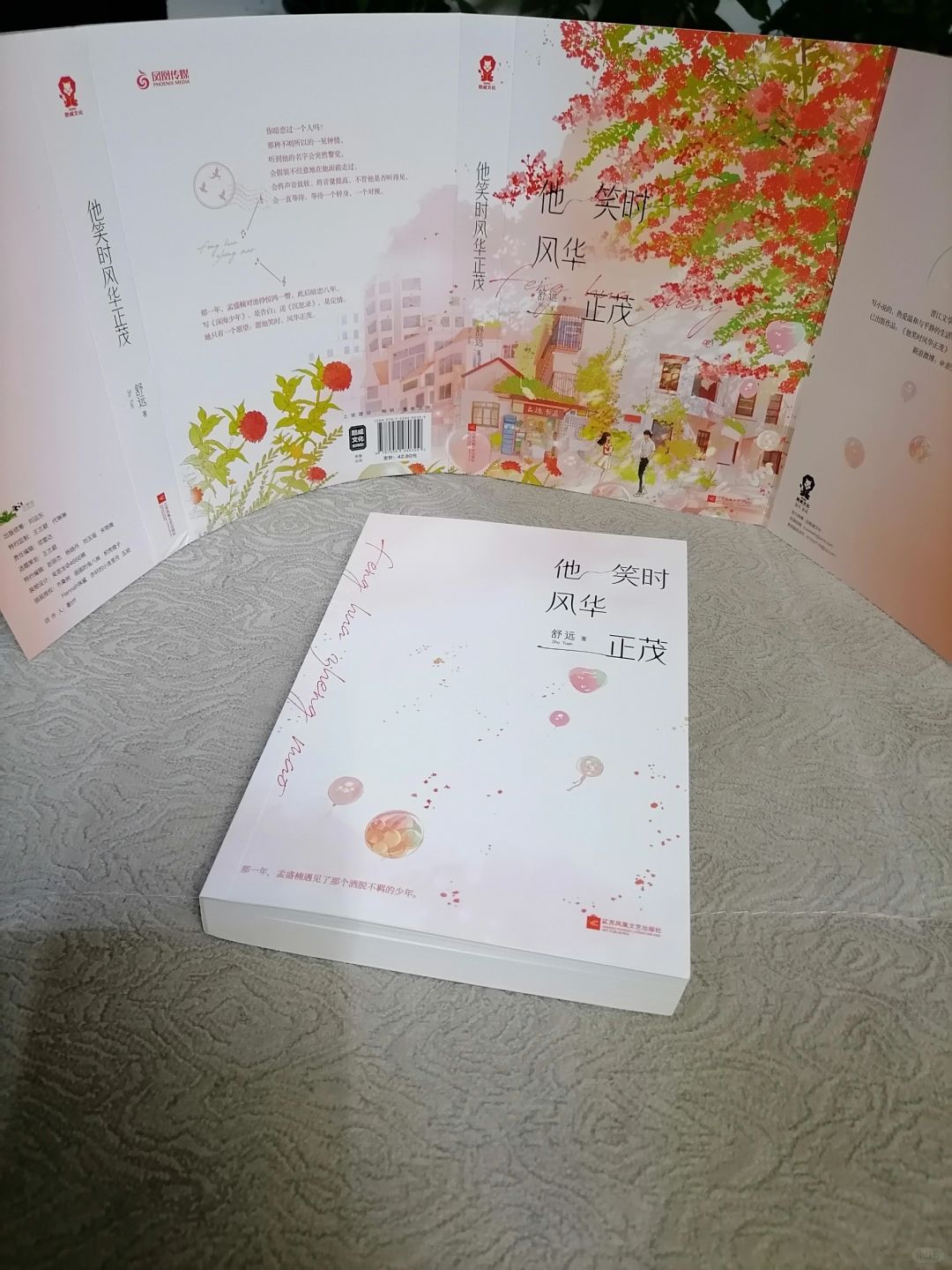 这风华正茂的日子，我想让他迷途知返。