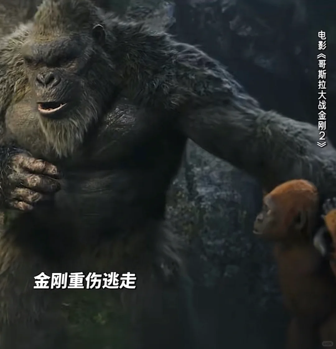 《哥斯拉大战金刚2》🦍金刚老了🥹