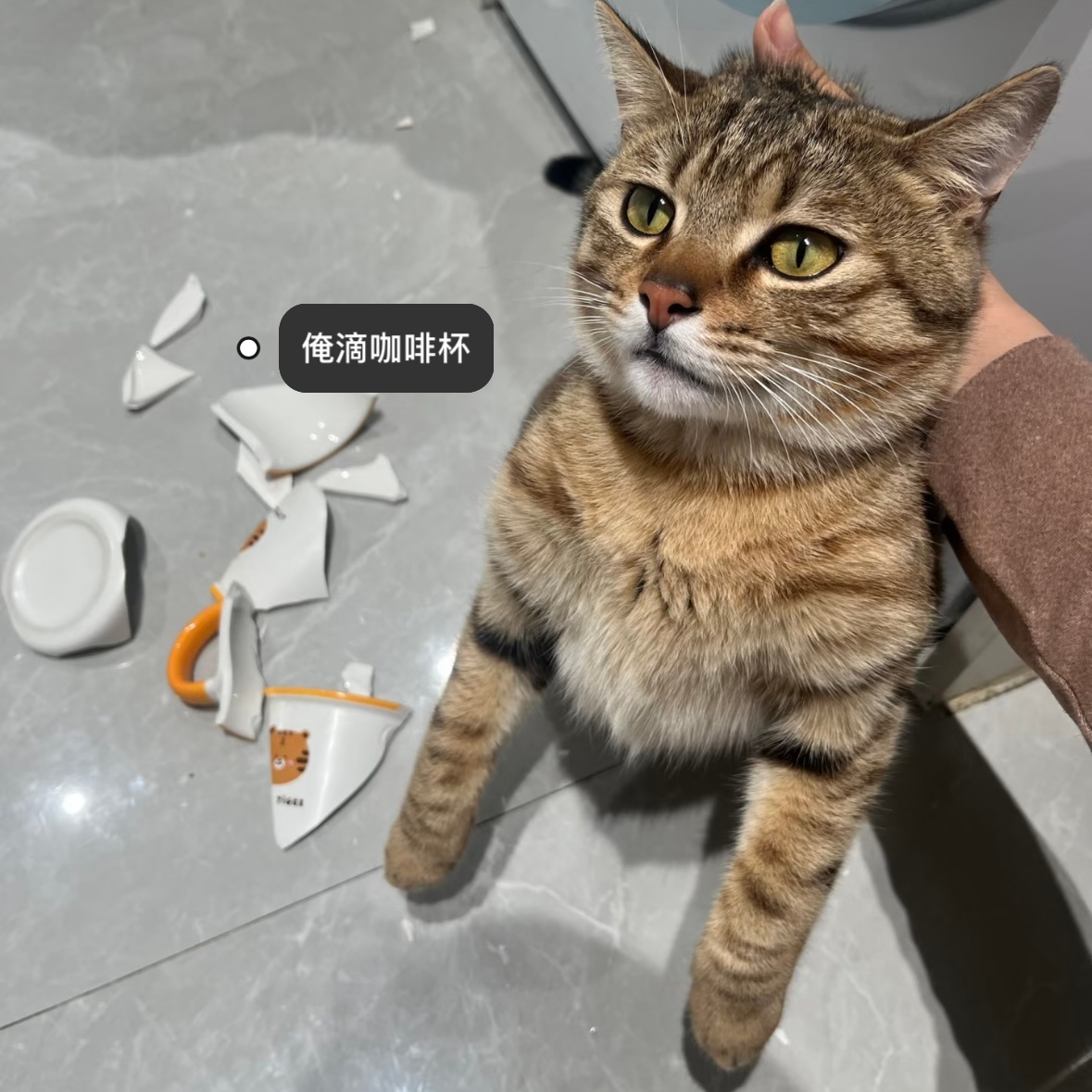 然后他被控诉捣蛋就很坦然的站在那里一点内疚都没有的 