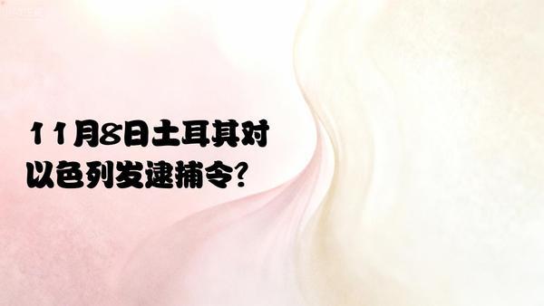 11月9日，据央视新闻客户端报道，土耳其伊斯坦布尔首席检察官办公室于2025年1