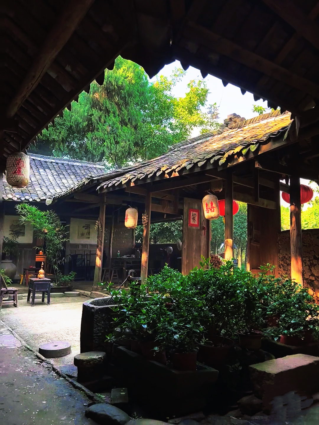 蔡明教年轻人用阿福应对催婚以前总觉得长辈催婚是压力，后来才明白，那或许是他们“想