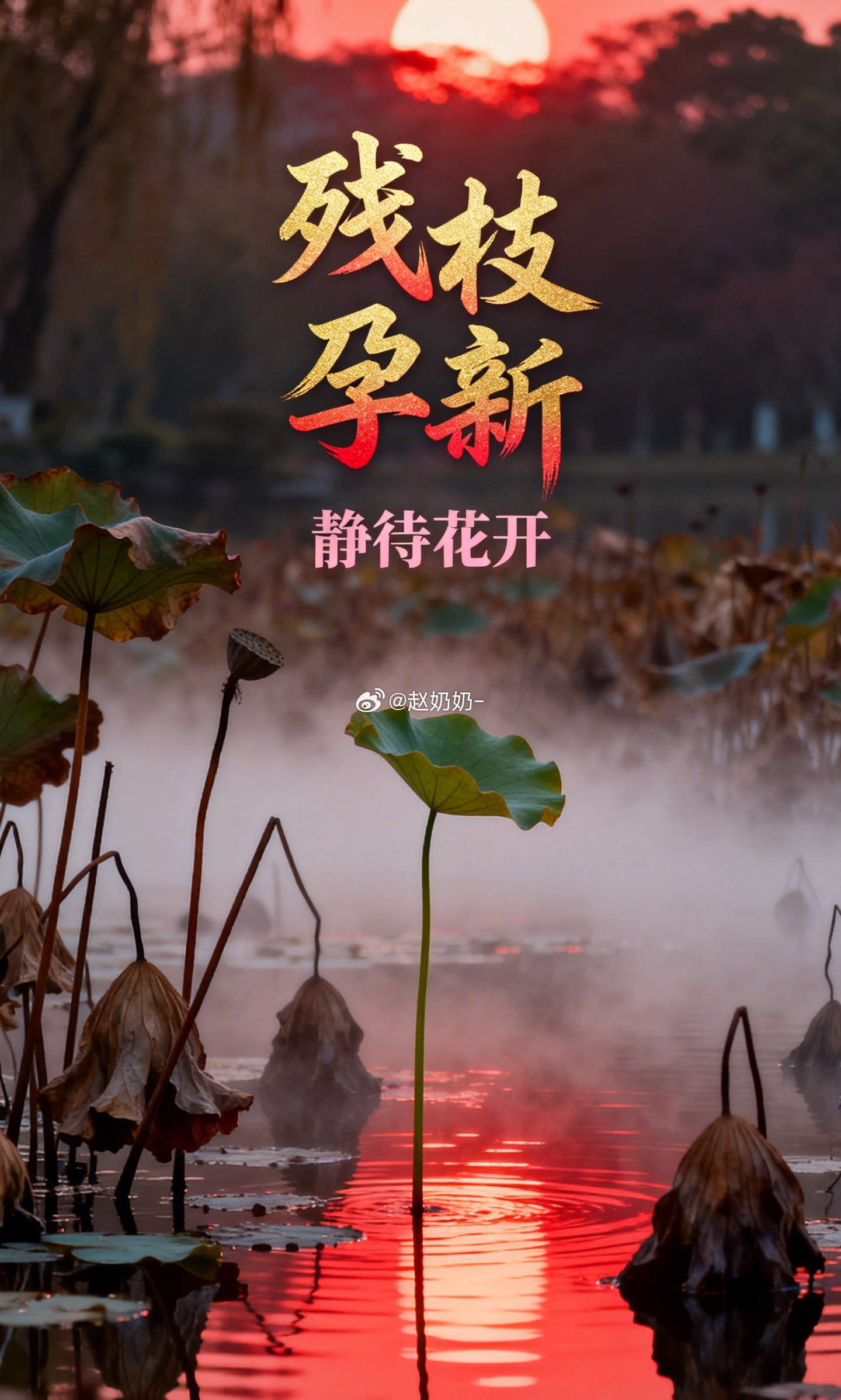 现在的年轻人搬家，我是见识过的。大半个屋子说扔就扔，聊了多年的人说删就删，连走动