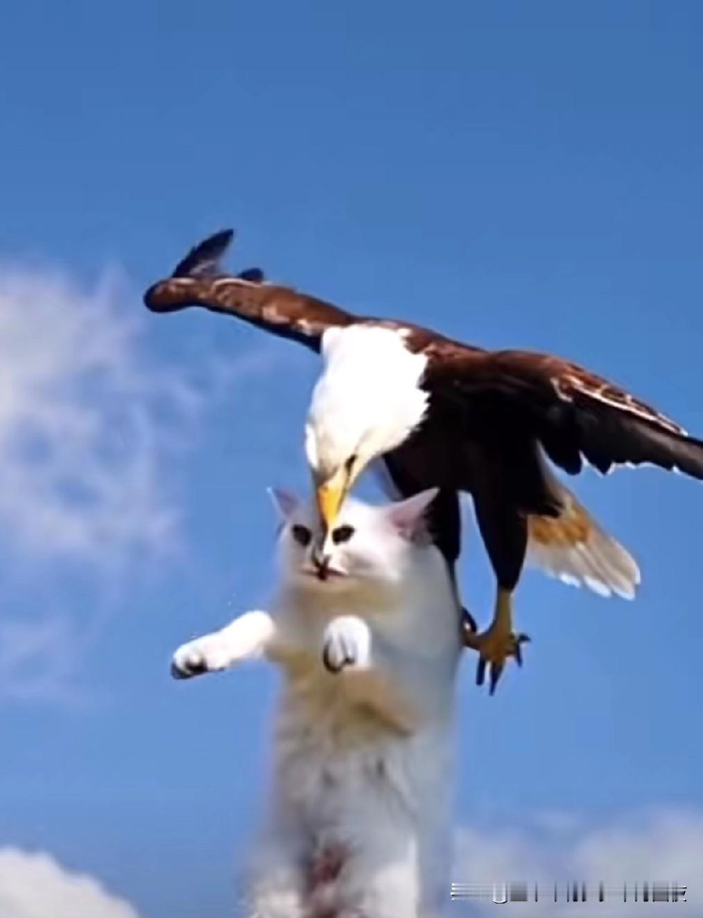 伊朗一厢情愿想在核框架内谈判，
怎么能填满美国的胃口。
是伊朗的缓兵之计，
还是