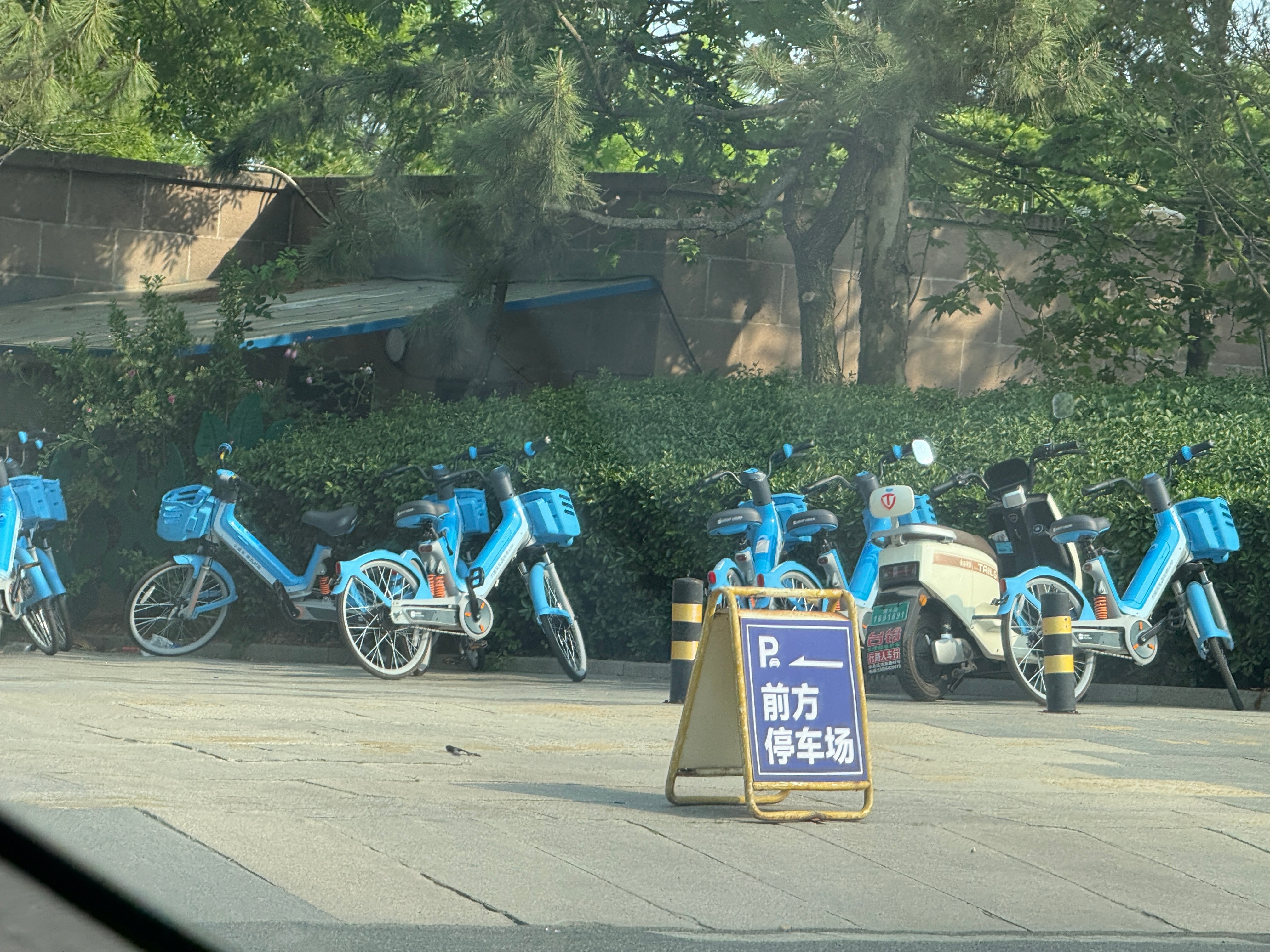 我竟然在青岛见到了共享单车[疑问] ​​​