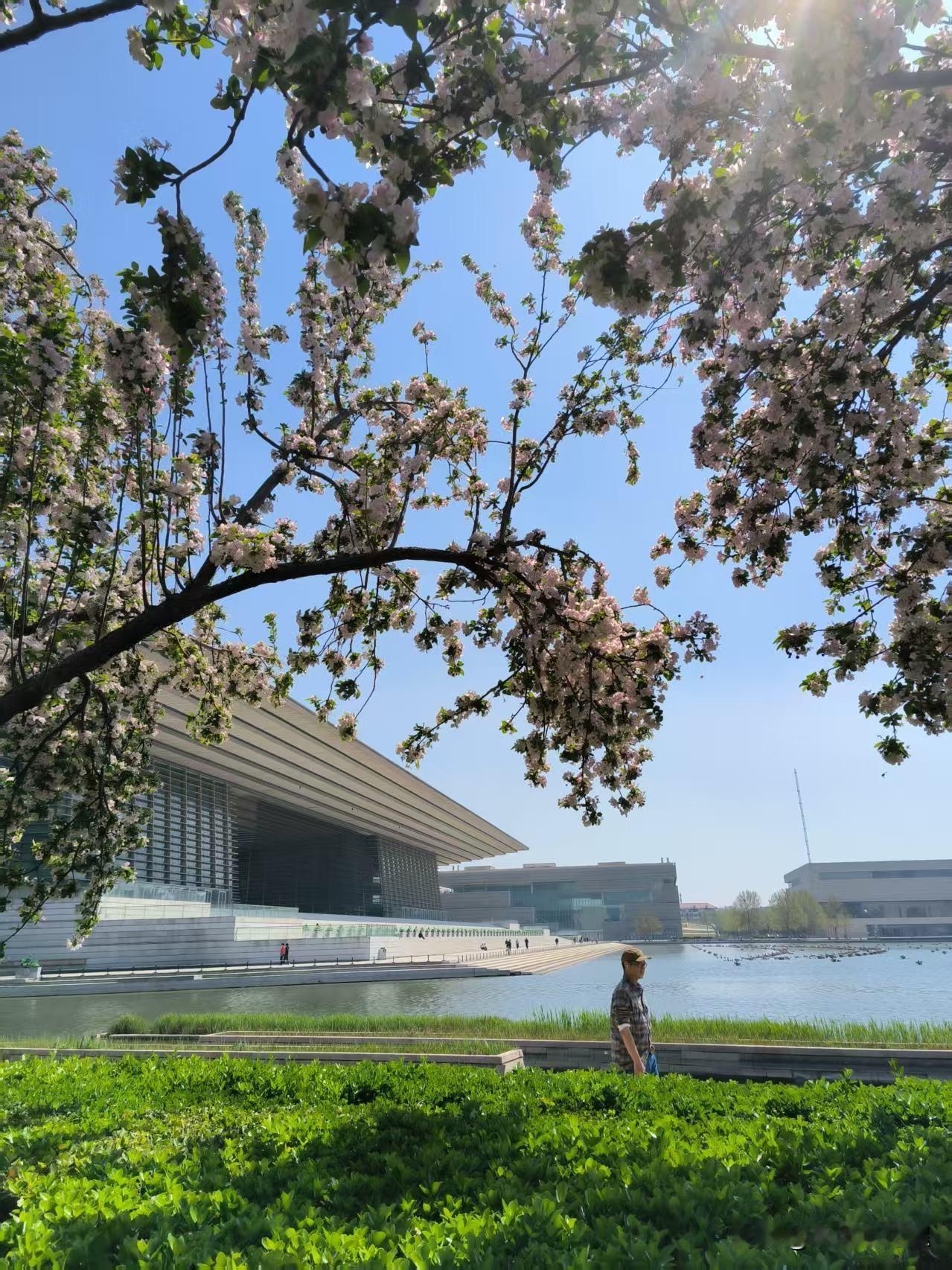 无须远行，河西文化中心，是休闲娱乐赏景的最佳地点。
那里面积宽阔，植物茂盛，湖水