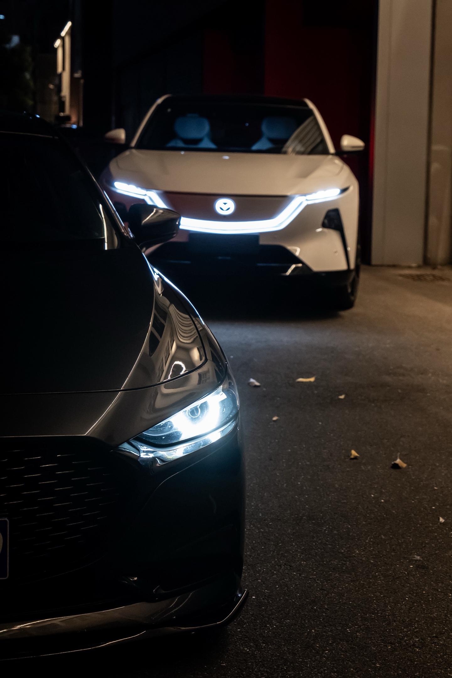 来欣赏欣赏马家新血统！