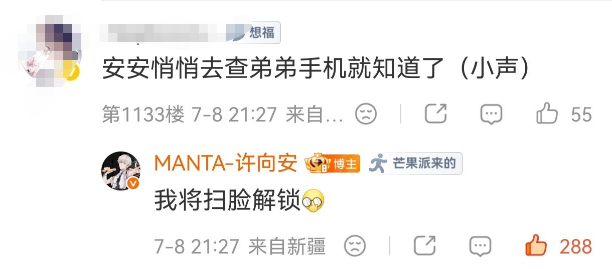 许你安宁 这就是双胞胎的作用吗