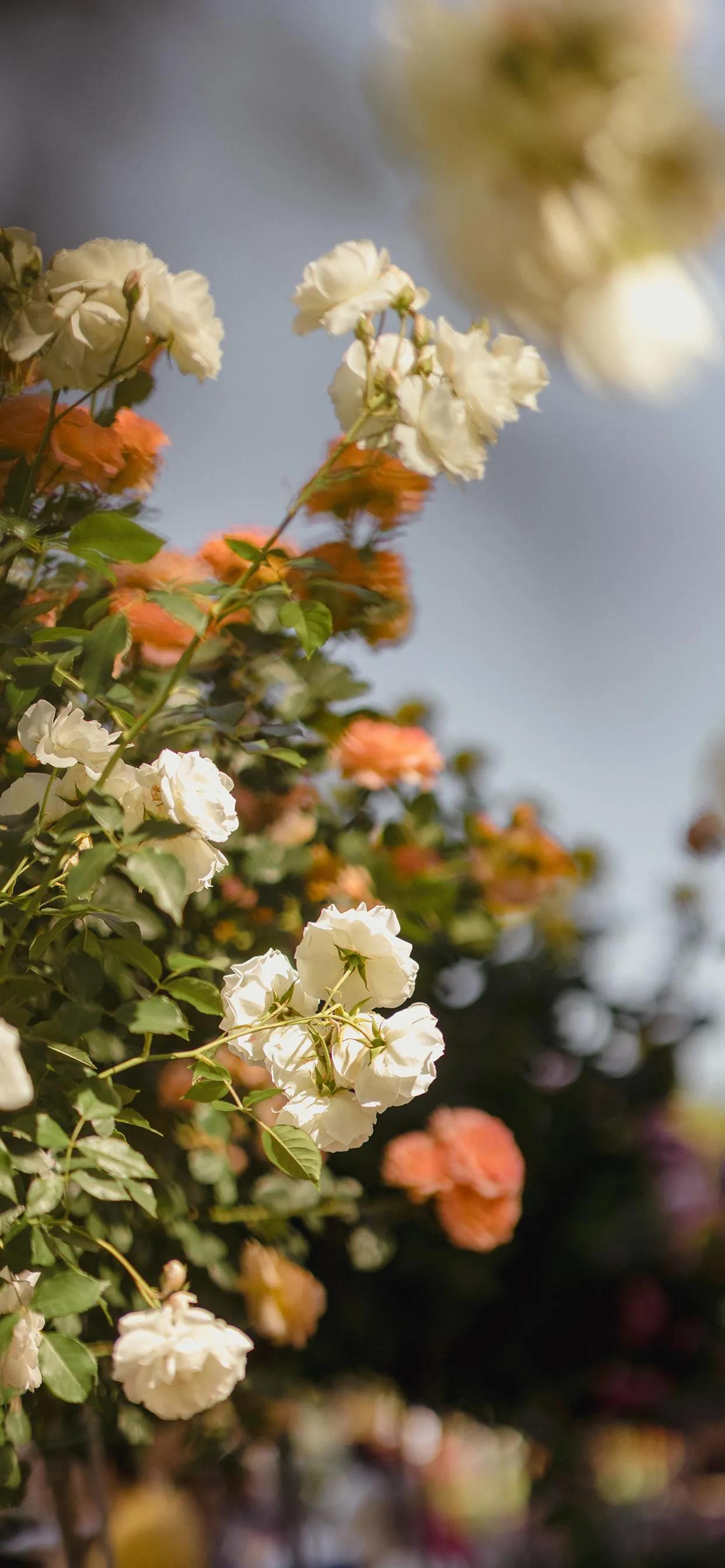 凡事都要想好的，想好的就是好的，想坏的就是坏的。但是我们很多人习惯性想坏的，慢慢