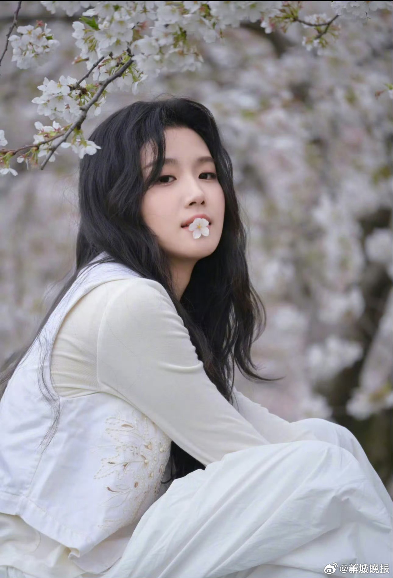 【快来at你最想一同赏花的Ta】早樱盛开的季节，你最想与谁一起共赴花海？评论区聊