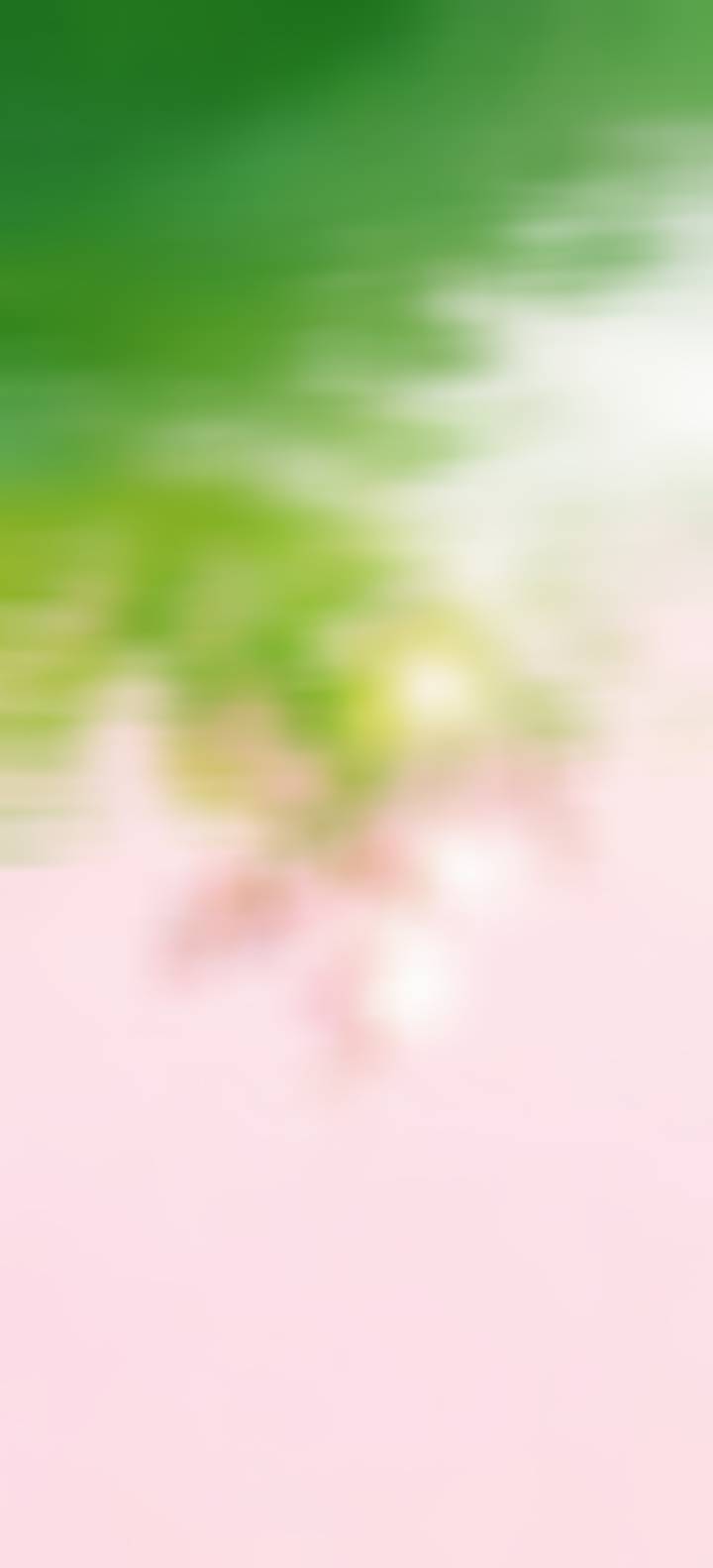 引动水木灵气暗处的霉运、烂桃花和消耗你的磁场全部冲散气场重新变得干净明亮不管是财