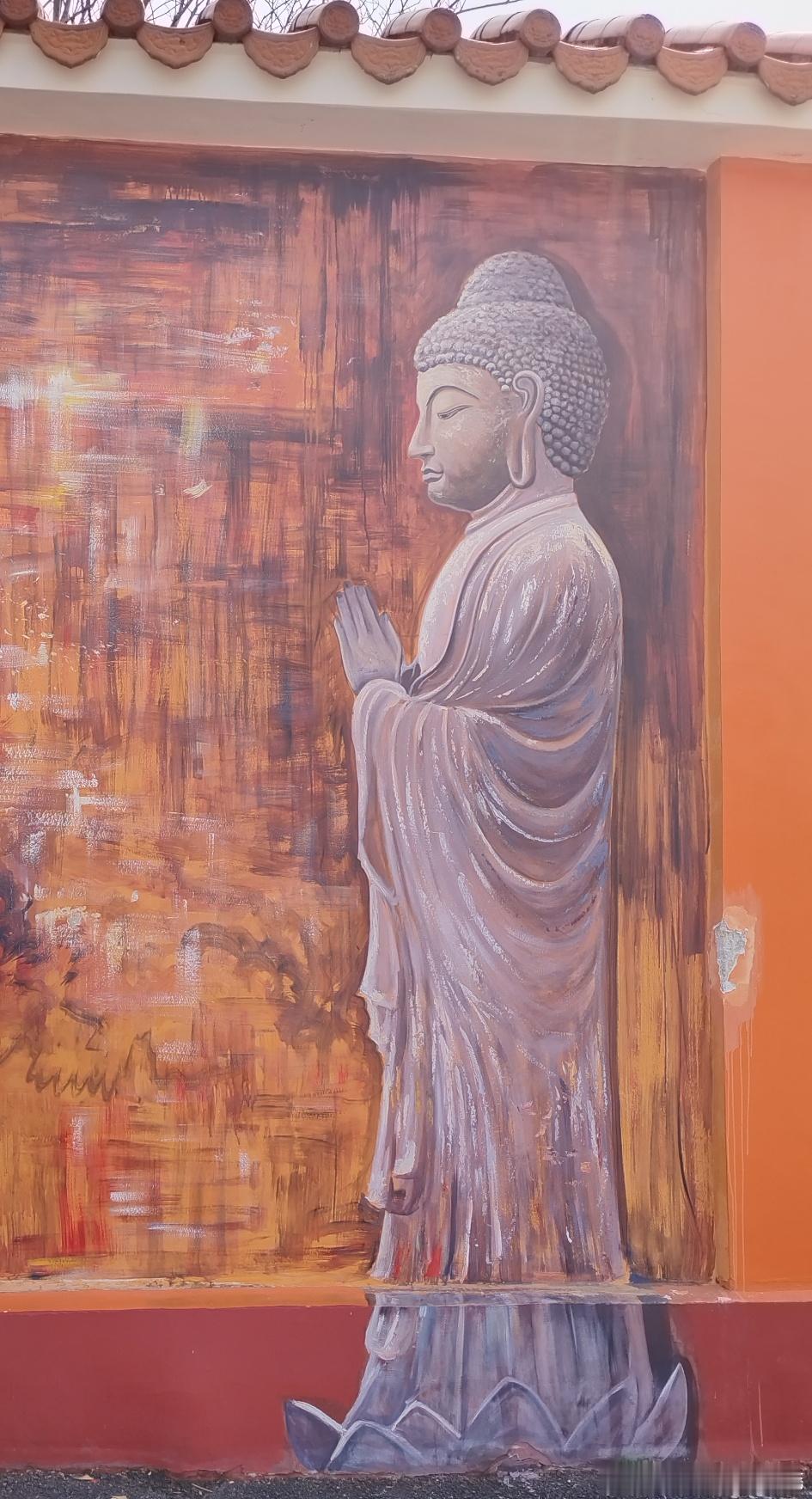 每日一善每日一善日行一善，善行一生！福未至祸已远阳光信用