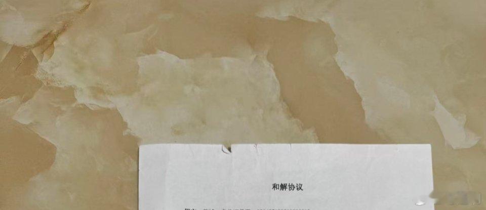 深圳市罗湖区人民法院认定：“……被告声称原告舒畅‘煽动恐慌、非法兜售无碘盐’但未
