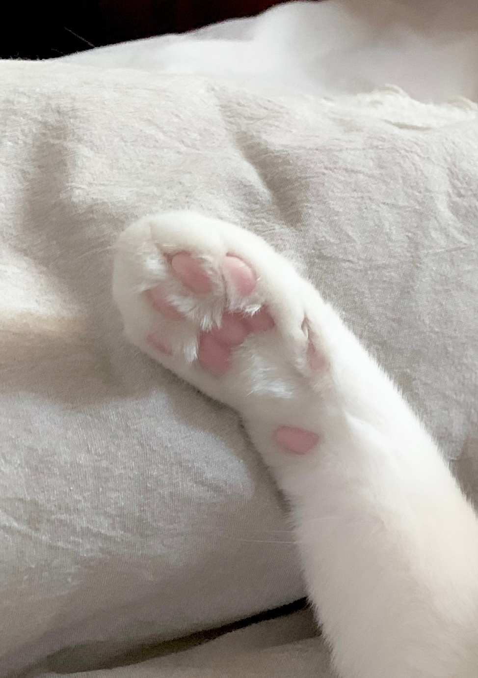今日要闻 ​​​