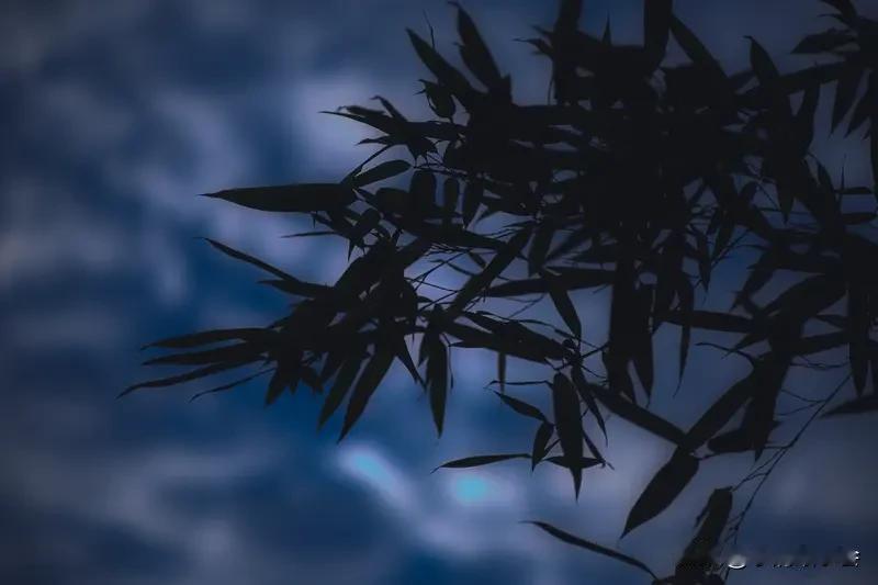 看到上联“竹影清风摇月色”，瞬间就被这有意境的画面吸引了。分析一下，它用了拟人的