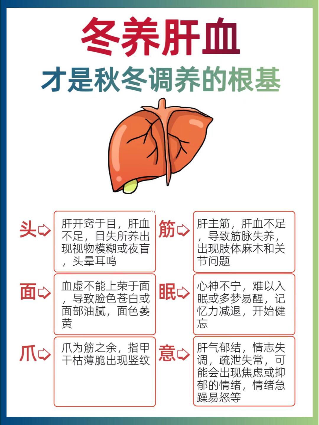 🔥秋冬调养？养肝血才是根基，别忽视🍃