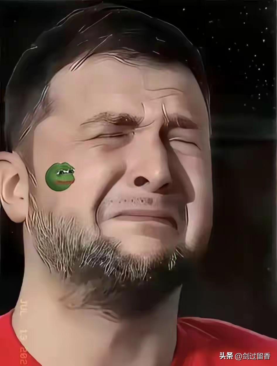 乌克兰万万没想到吧，最后受伤的总是自己。

西方国家不是没收俄罗斯的资产送给乌克