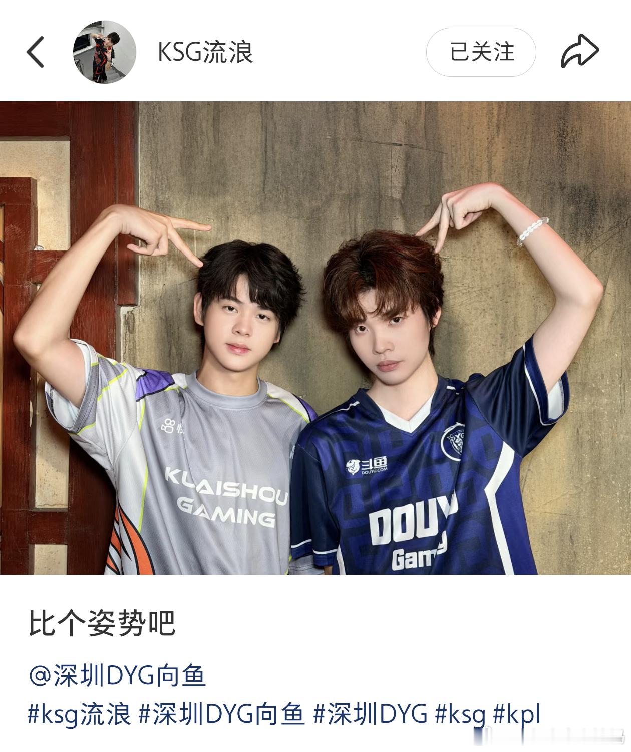 KPLkpl2026kpl夏季赛苏州ksg深圳dyg 流浪&向鱼合照场均蓝buf