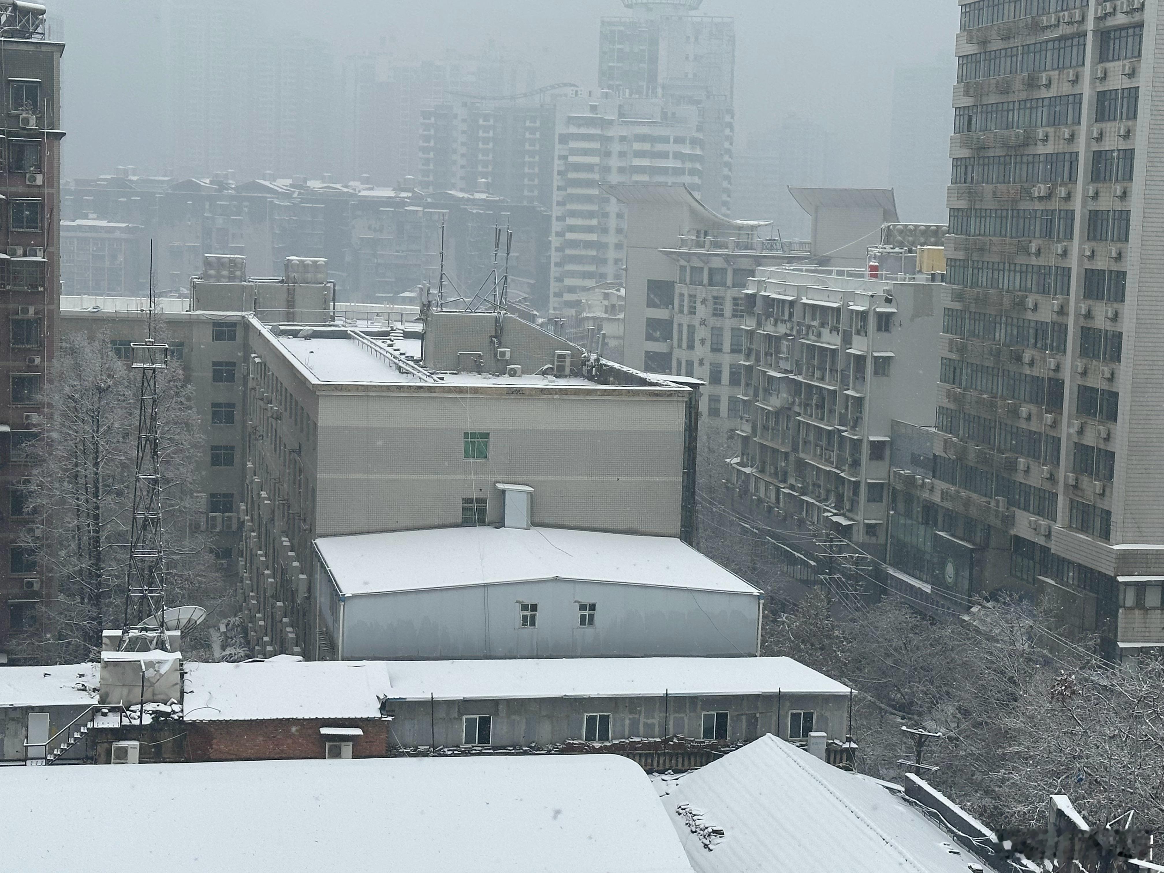 武汉今天下大暴雪了  ​​​
