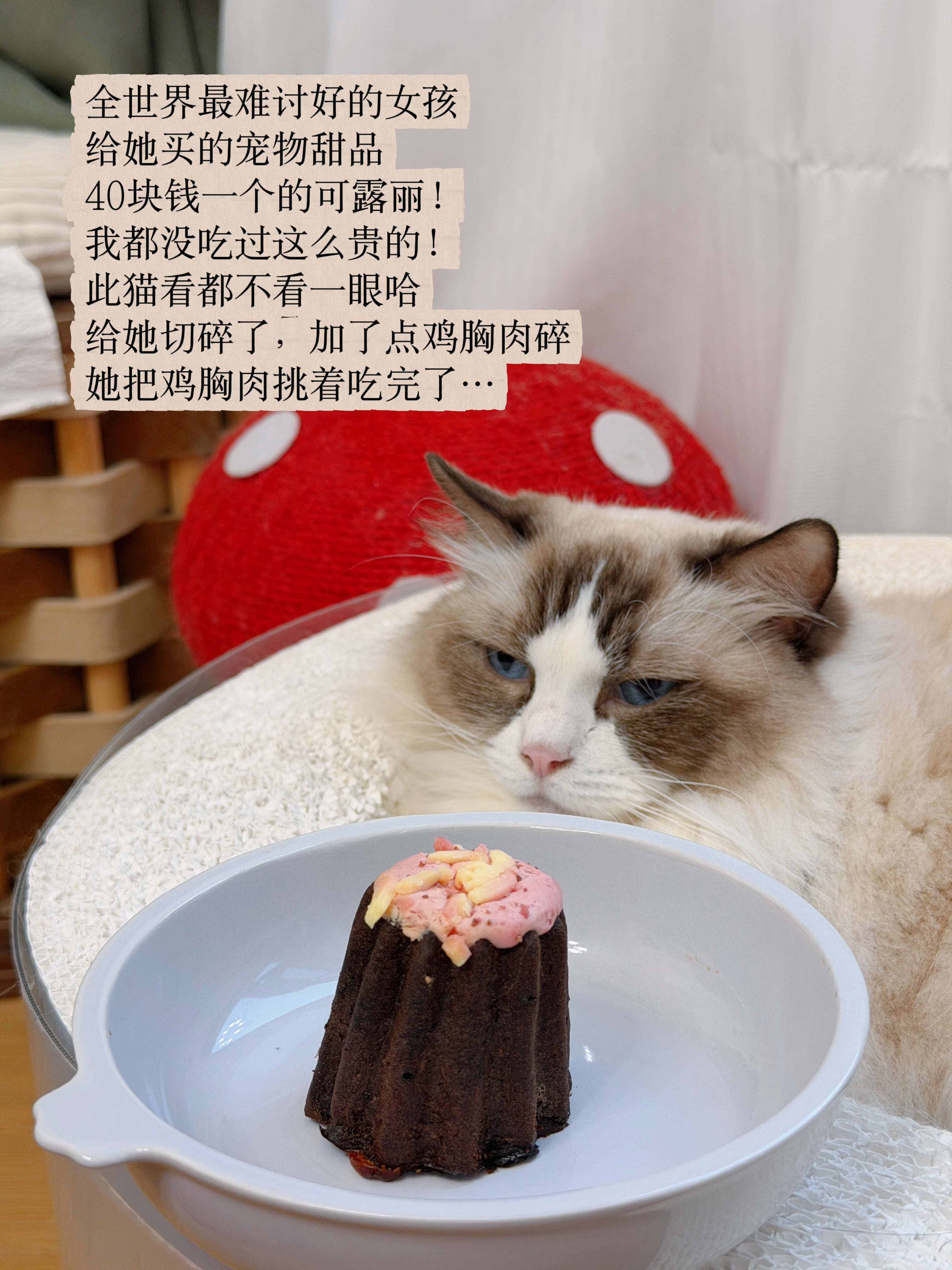 最喜欢的季节来啦秋天快乐🍂 ​​​
