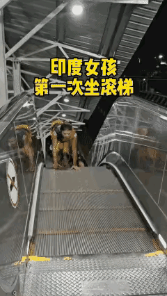 看着穿着打扮也是高种姓了吧
没做过电梯🛗？😂