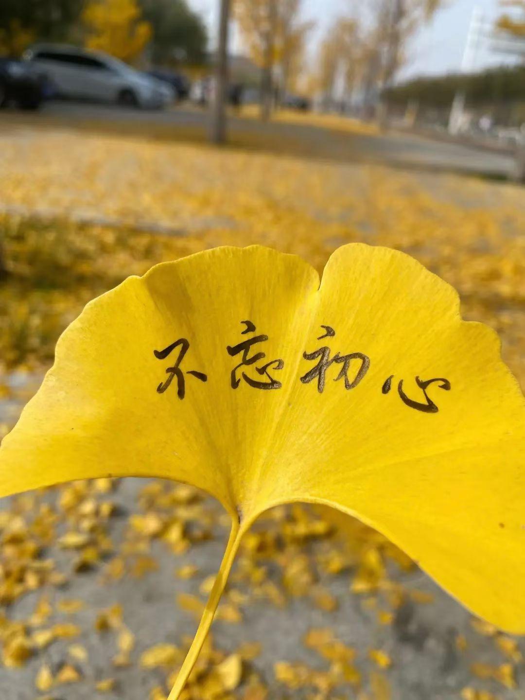 今天是2025年11月15日，
九月二十六，星期六。

知道吗？
总有那么一些人