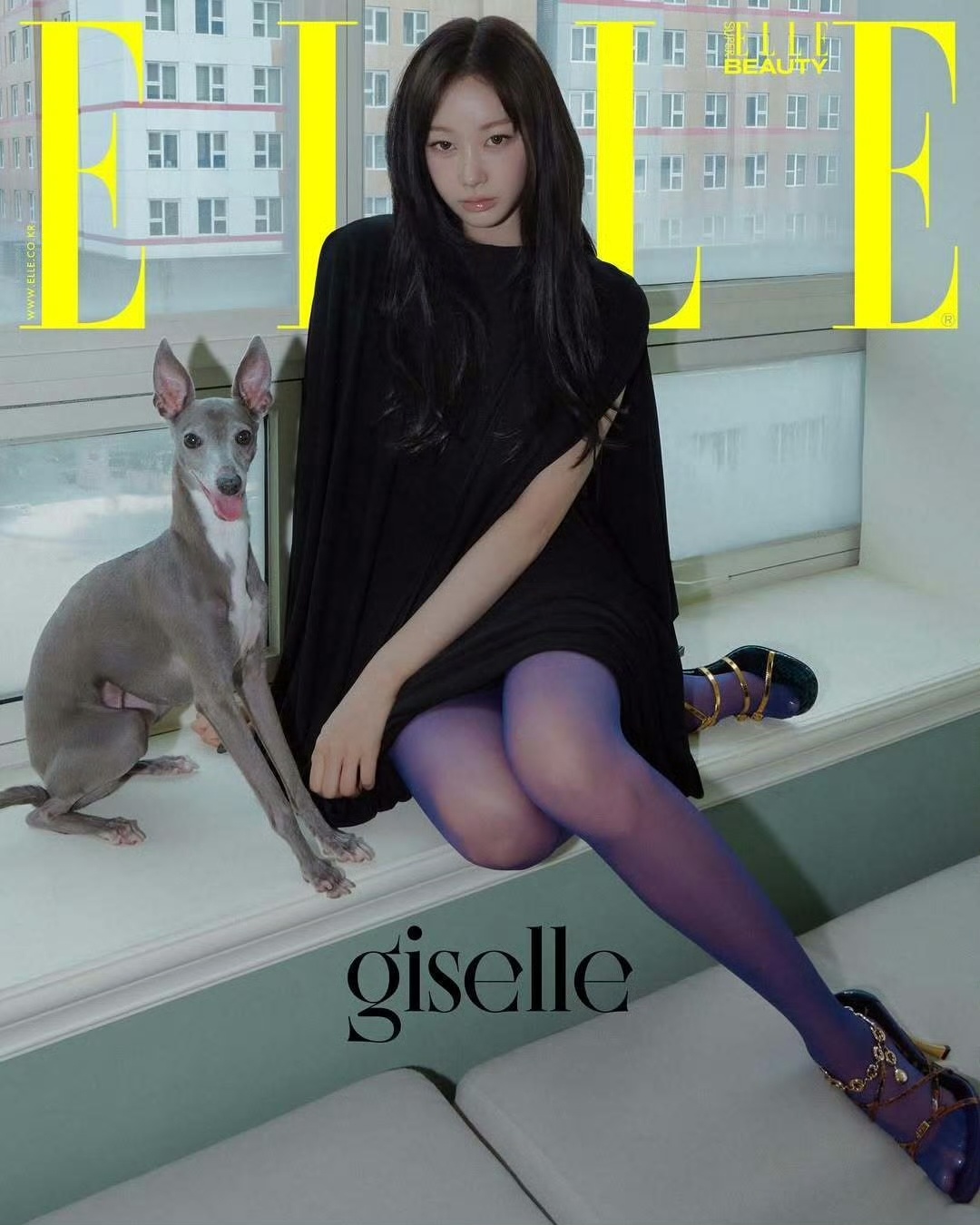 Jennie 登上Elle 增刊正刊是吉赛尔……被五代压了之前嘲讽队友增刊，报|