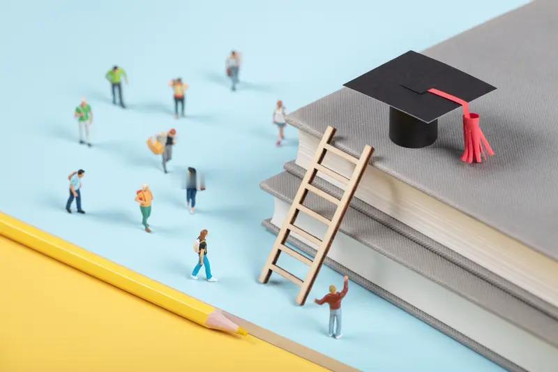近日，东南大学、上海交通大学、南京大学等十多所“双一流”高校就像一群慷慨的知识“