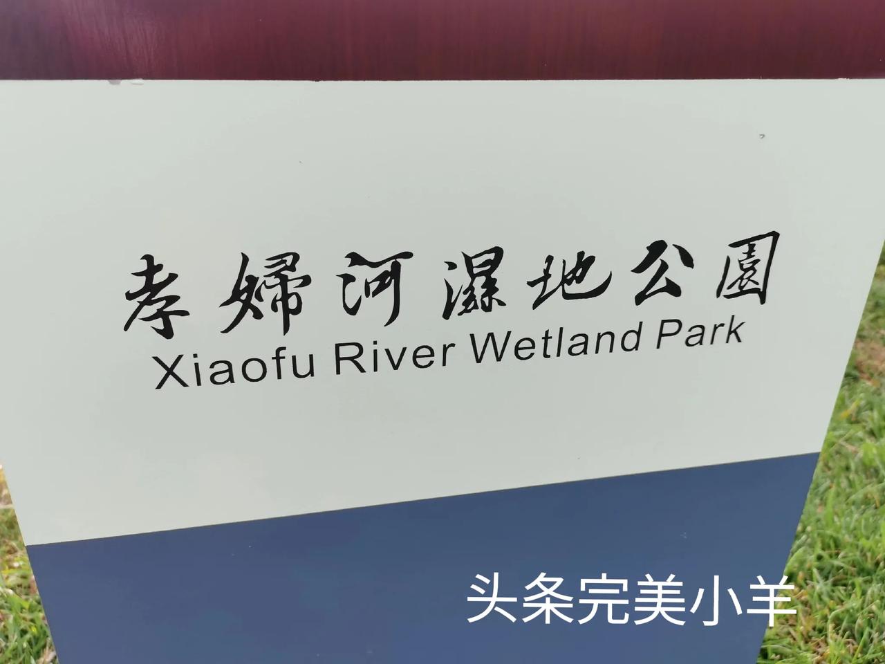 环境真好，去年我夏天来过，住了两天，还在那里跑了步，今年又变化了不少[赞]