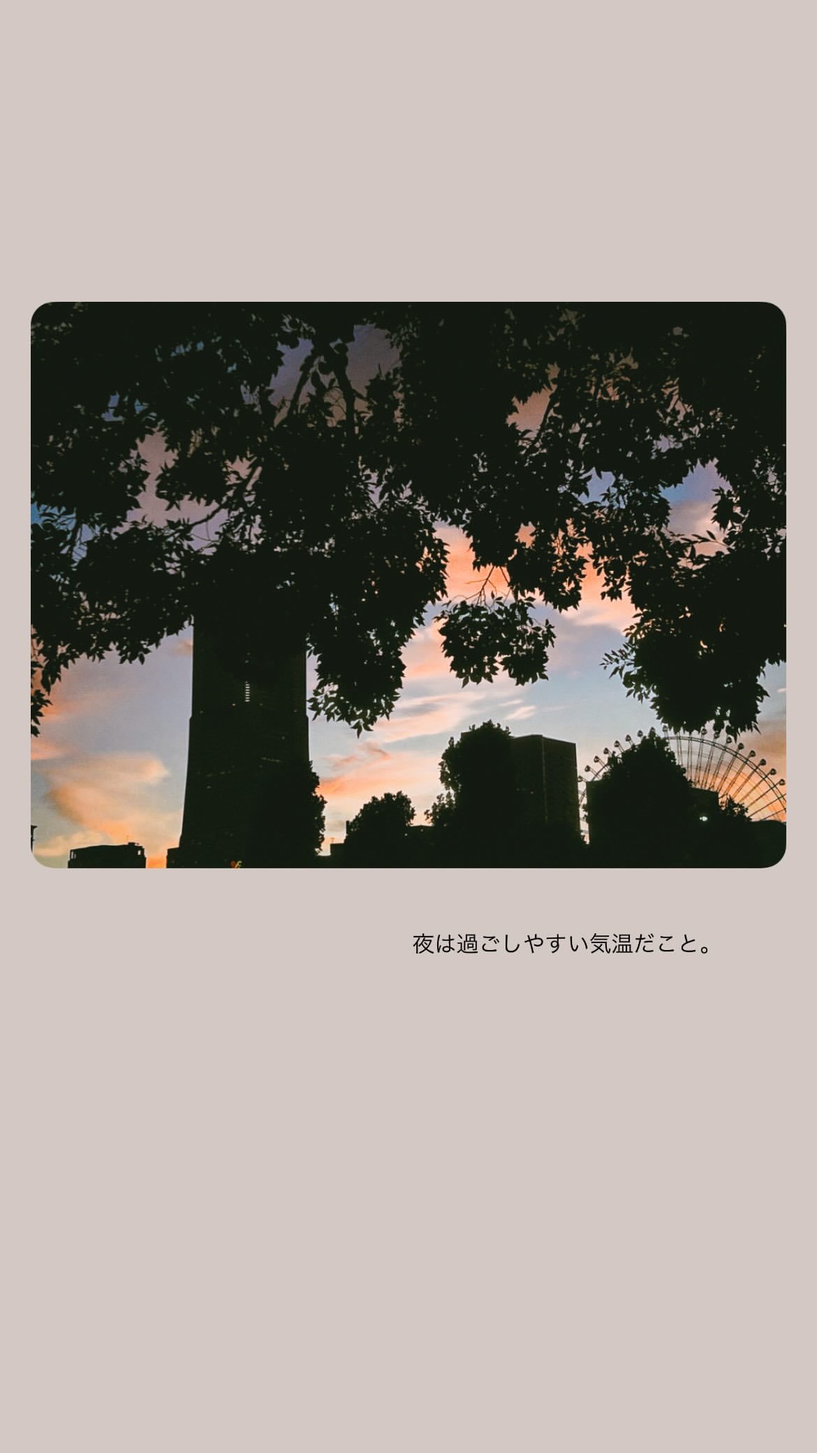 渡辺みり愛 ​​​