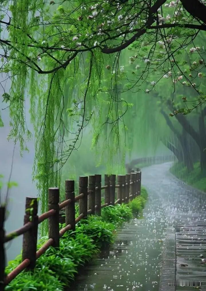 晚风
作者：黄爱国（诗酒涵）湖南

月下轻摇柳枝舞，
人来影孤独。
丝丝凉意沁心